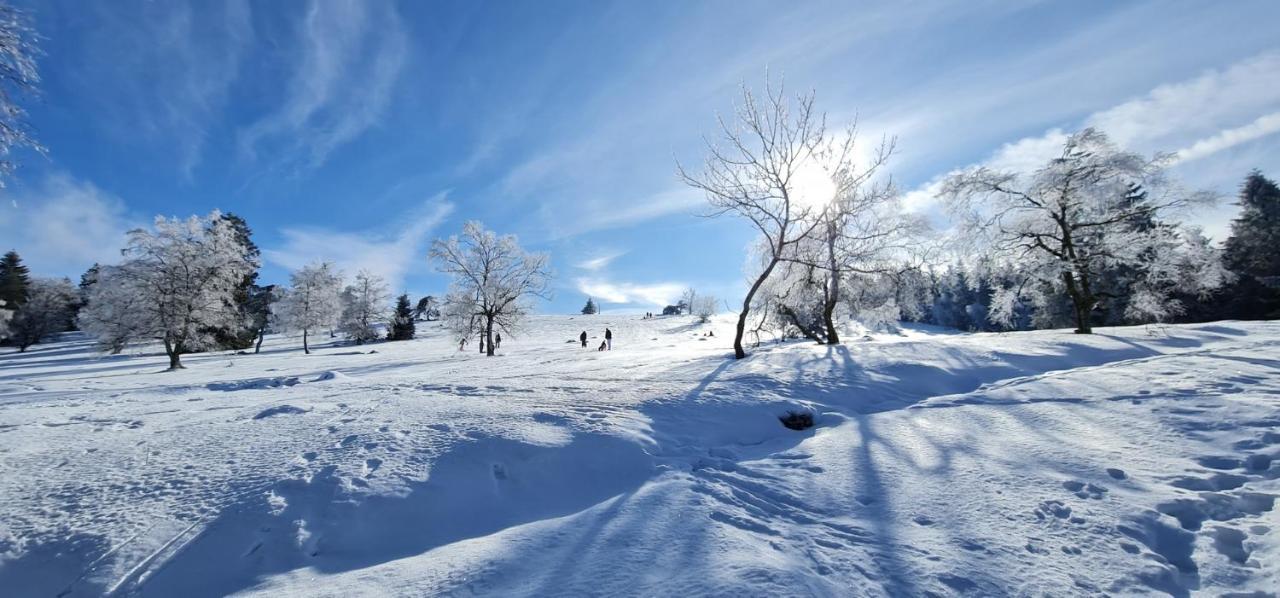 Pistenblume Apartment - Skipiste, Stadtzentrum 빈터베르크 외부 사진